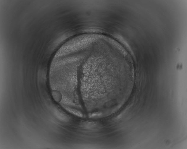 X0000092220063200710051207