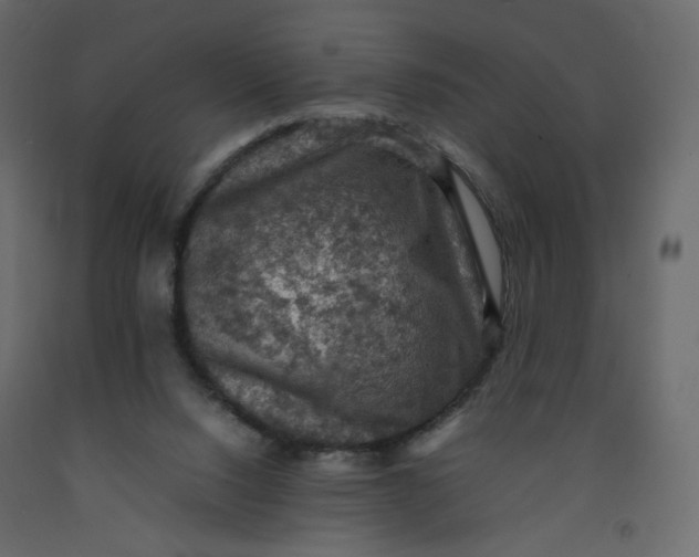 X0000092220064200710051207