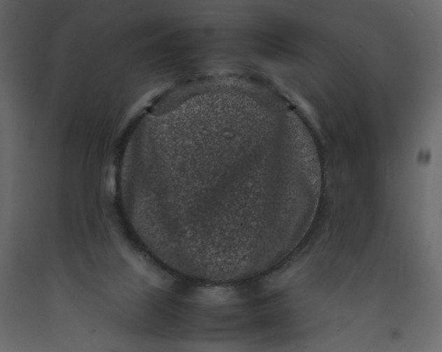 X0000092220067200710051207