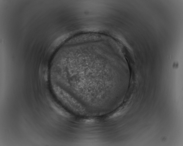 X0000092220068200710051207