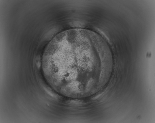 X0000092220069200710051207