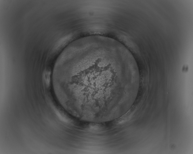 X0000092220070200710051207