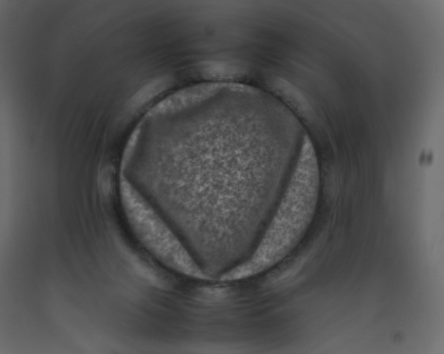 X0000092220071200710051207