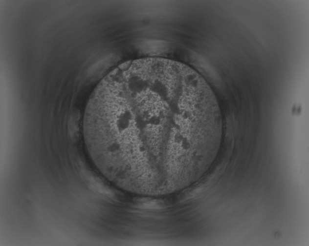X0000092220073200710051207
