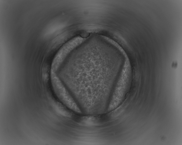 X0000092220074200710051207