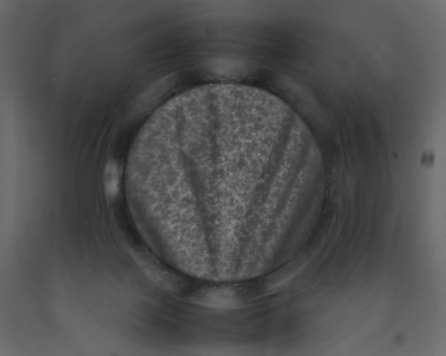 X0000092220075200710051207