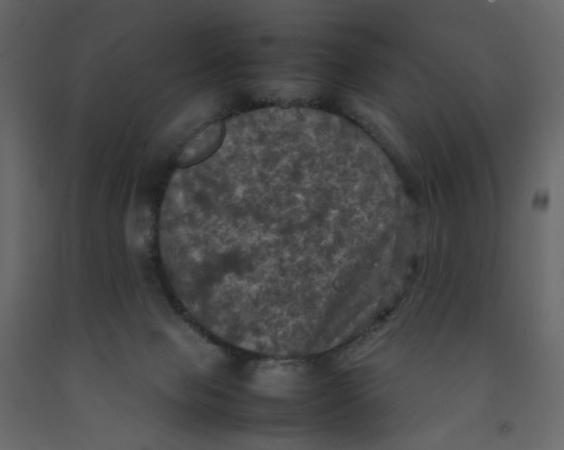 X0000092220077200710051207