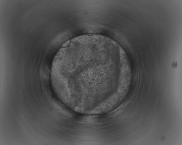 X0000092220078200710051207