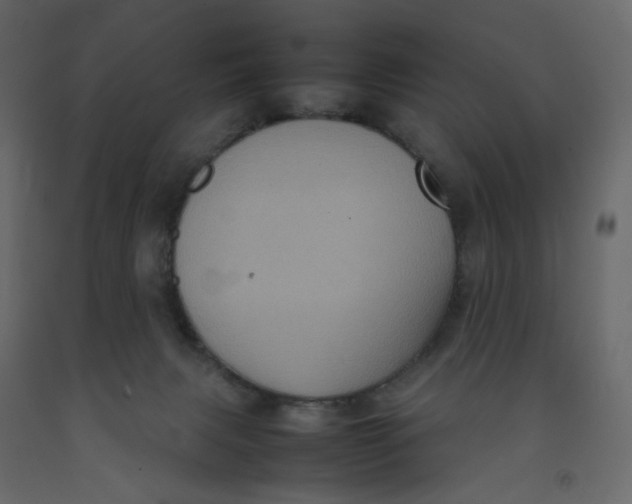 X0000092220079200710051207