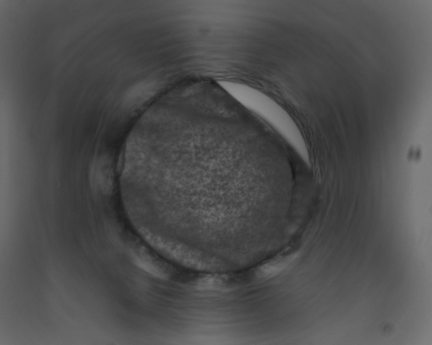 X0000092220080200710051207