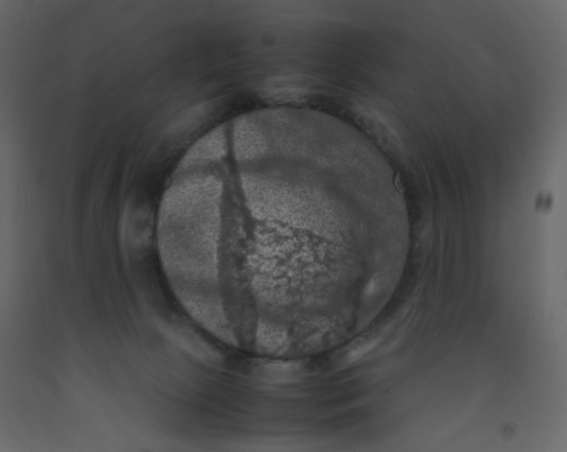 X0000092220081200710051207