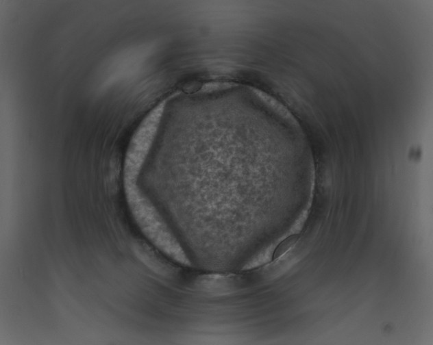 X0000092220082200710051207