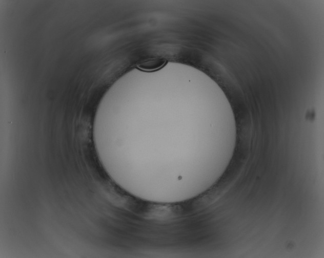 X0000092220083200710051207