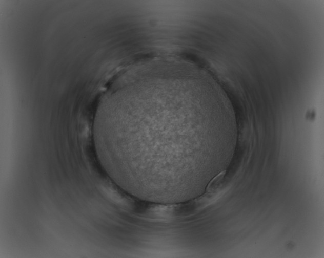 X0000092220084200710051207