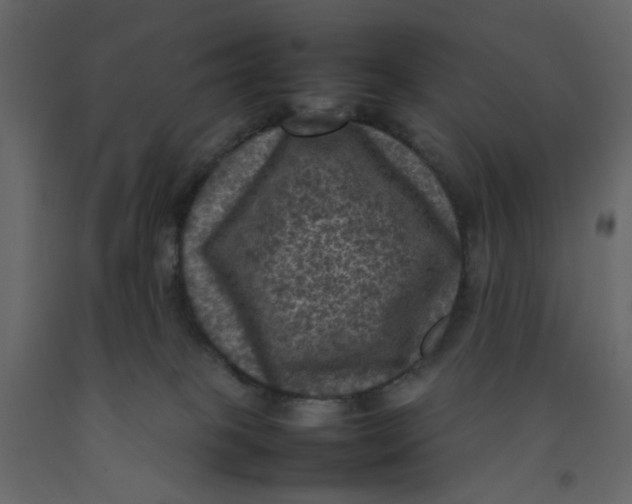 X0000092220085200710051207