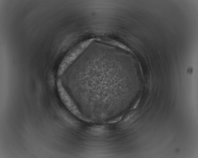 X0000092220086200710051207