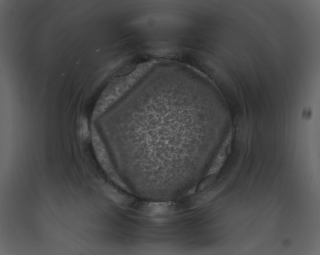 X0000092220089200710051207