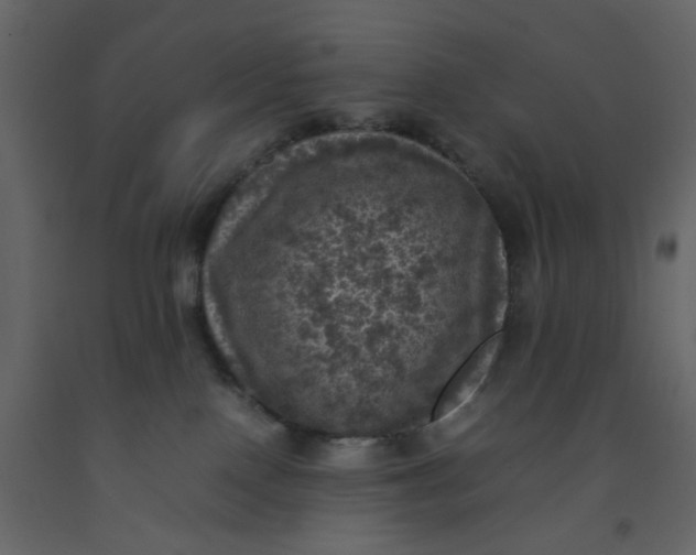 X0000092220090200710051207