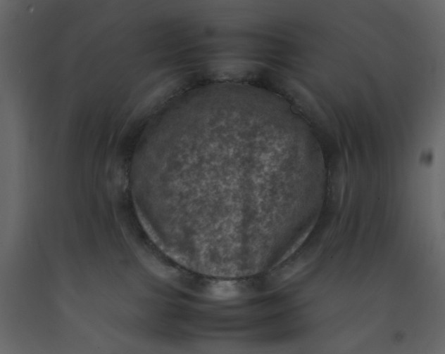 X0000092220091200710051207