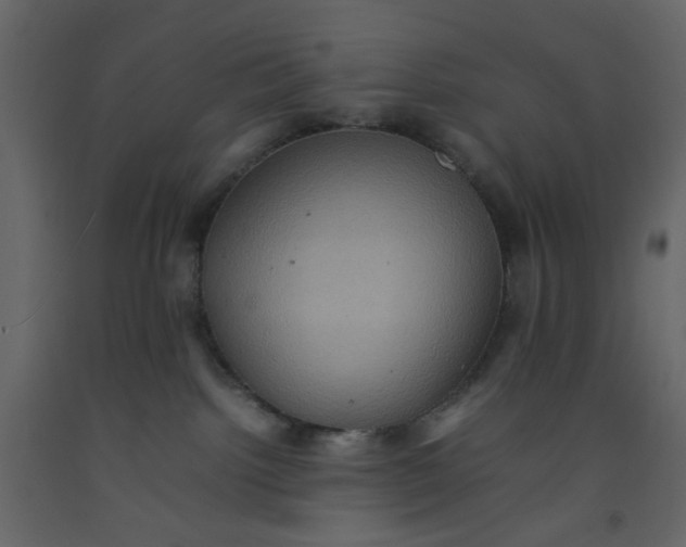 X0000092220092200710051207