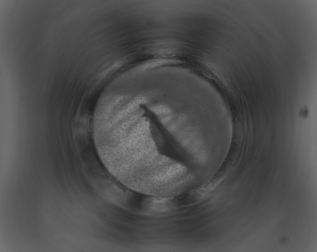 X0000092220093200710051207
