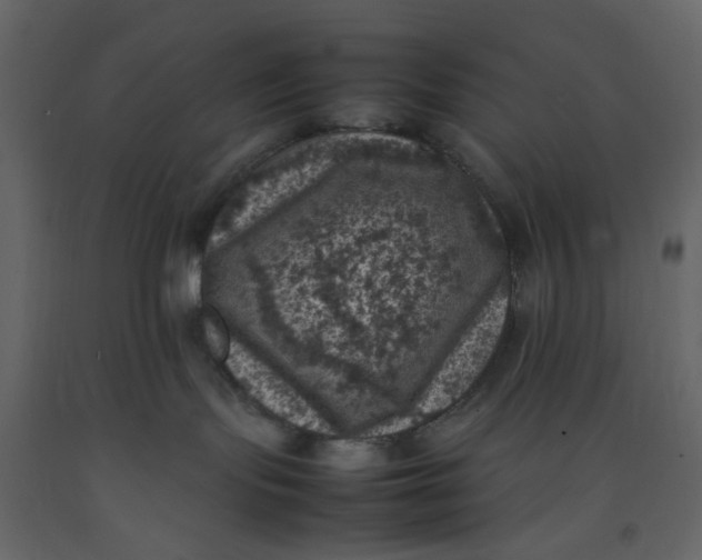 X0000092220095200710051207