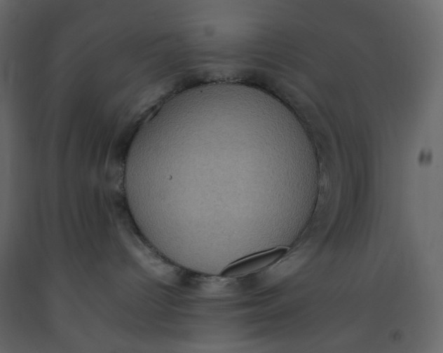 X0000092220096200710051207