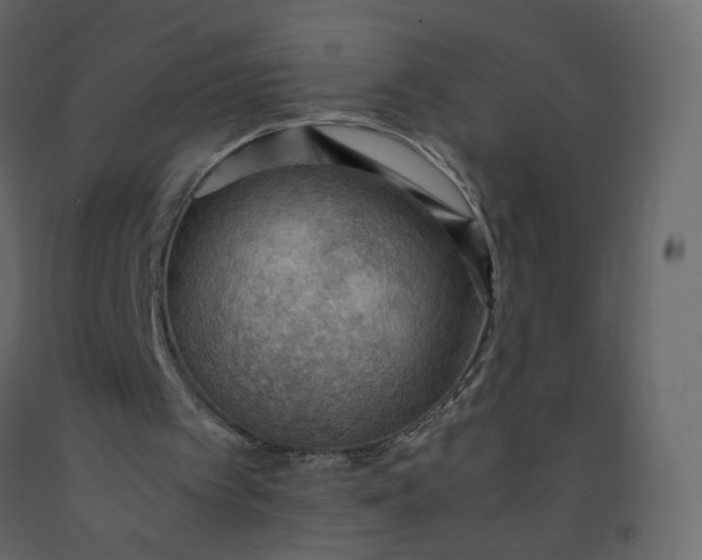 X0000092220097200710051206
