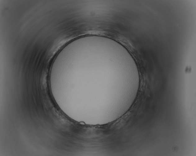 X0000092220098200710051206