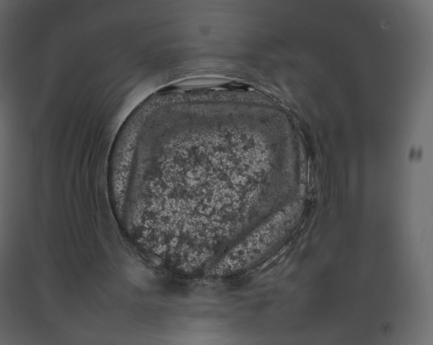 X0000092220099200710051206