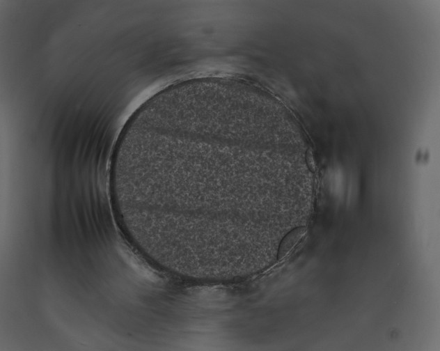 X0000092220100200710051206