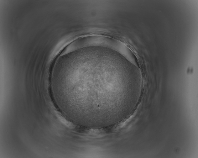 X0000092220101200710051206