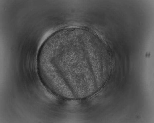X0000092220102200710051206