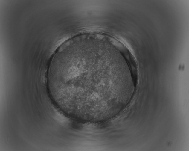 X0000092220105200710051206