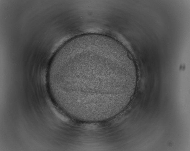 X0000092220106200710051206
