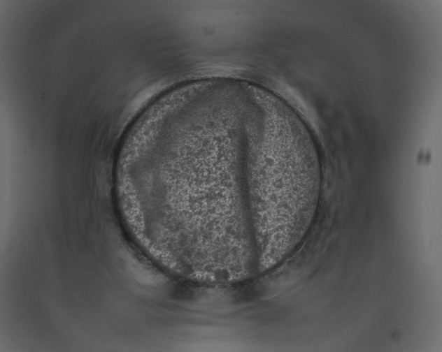 X0000092220107200710051206