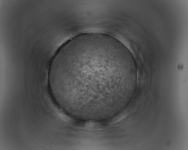 X0000092220109200710051206