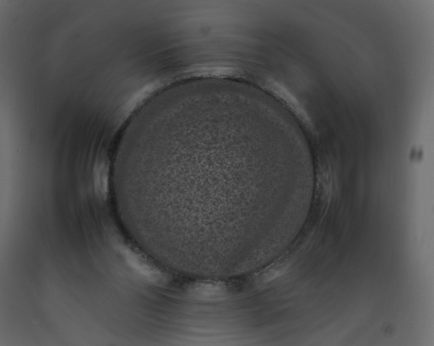 X0000092220110200710051206