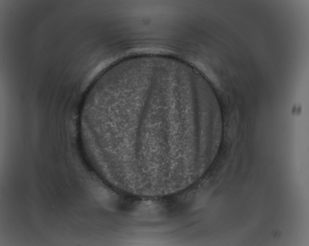 X0000092220111200710051206