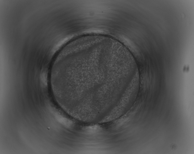 X0000092220112200710051206