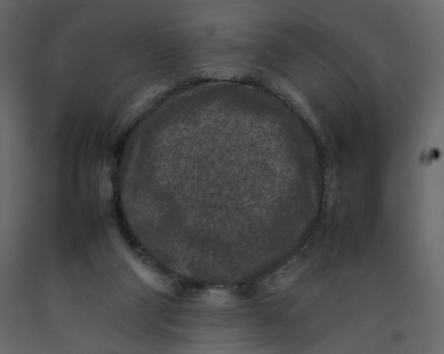 X0000092220114200710051206