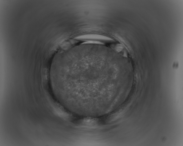 X0000092220117200710051206