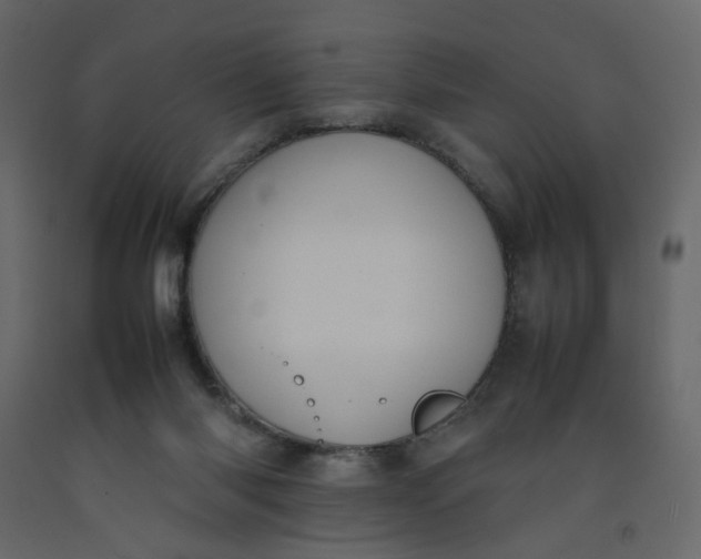 X0000092220118200710051206