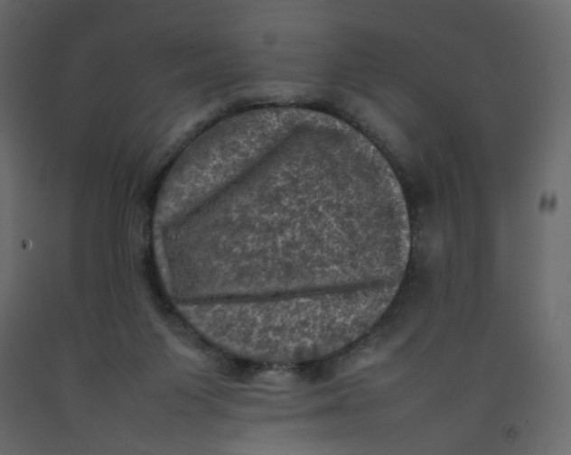 X0000092220119200710051206