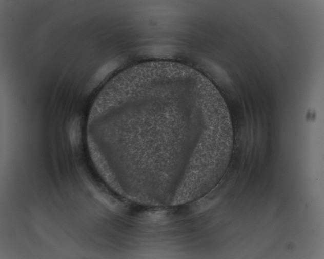 X0000092220120200710051206