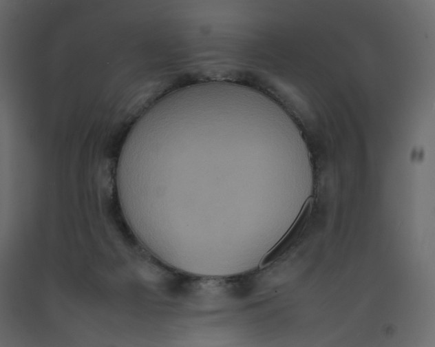 X0000092220121200710051206
