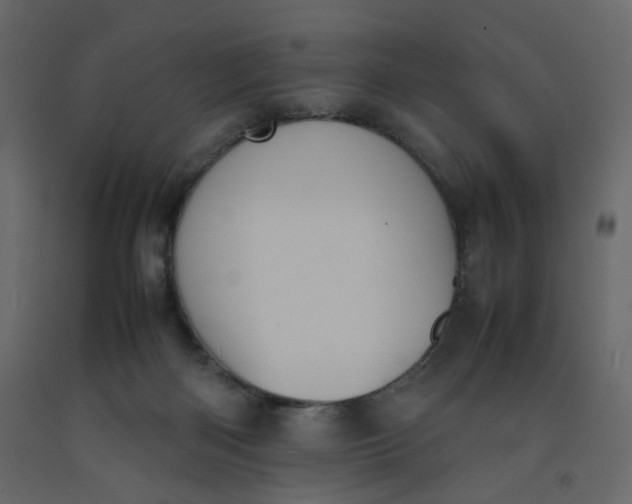 X0000092220122200710051206