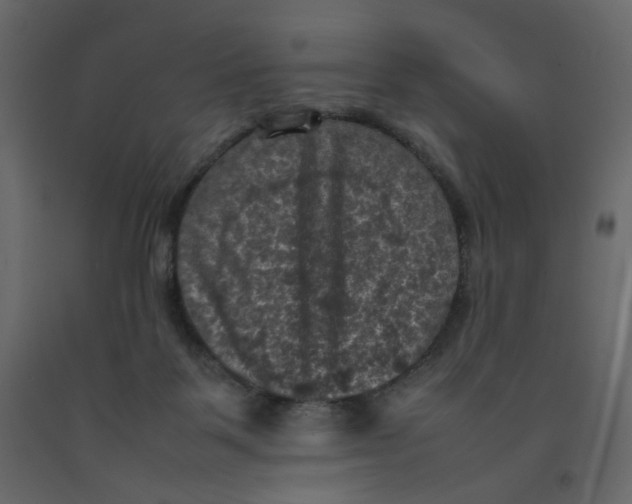 X0000092220123200710051206