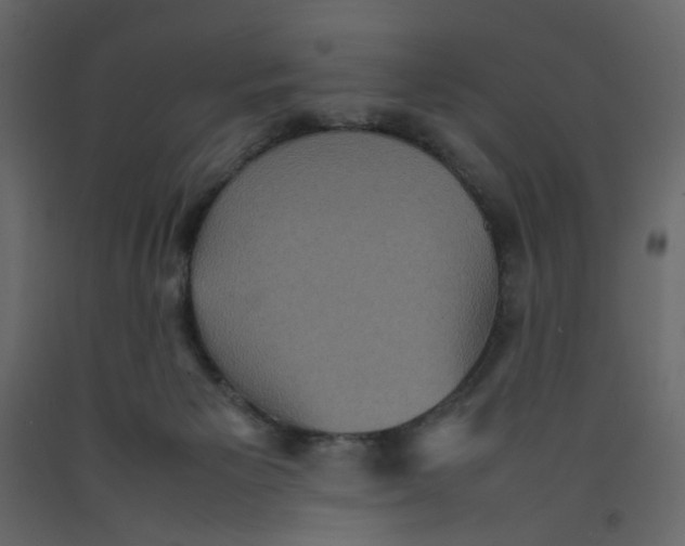 X0000092220125200710051206