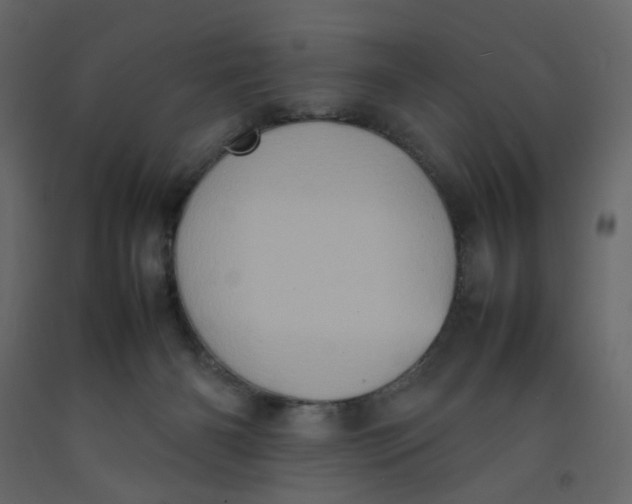 X0000092220126200710051206
